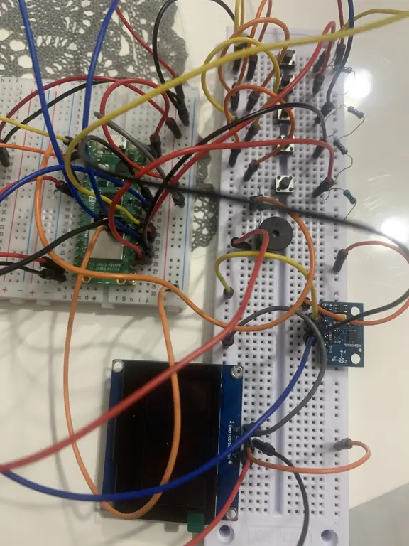 Circuit picture 1