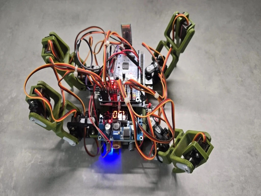 Initial spider position image