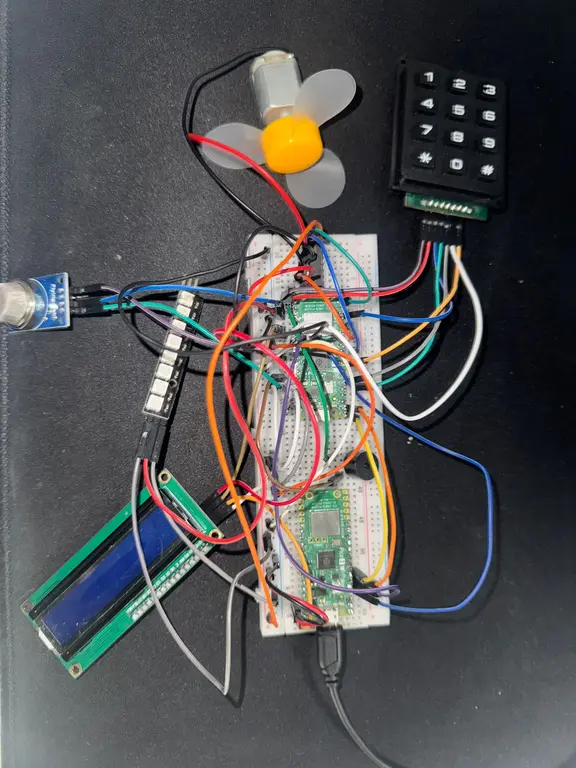 Image1
