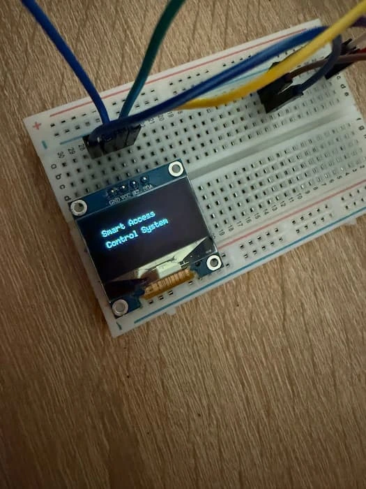 OLED displaying startup message